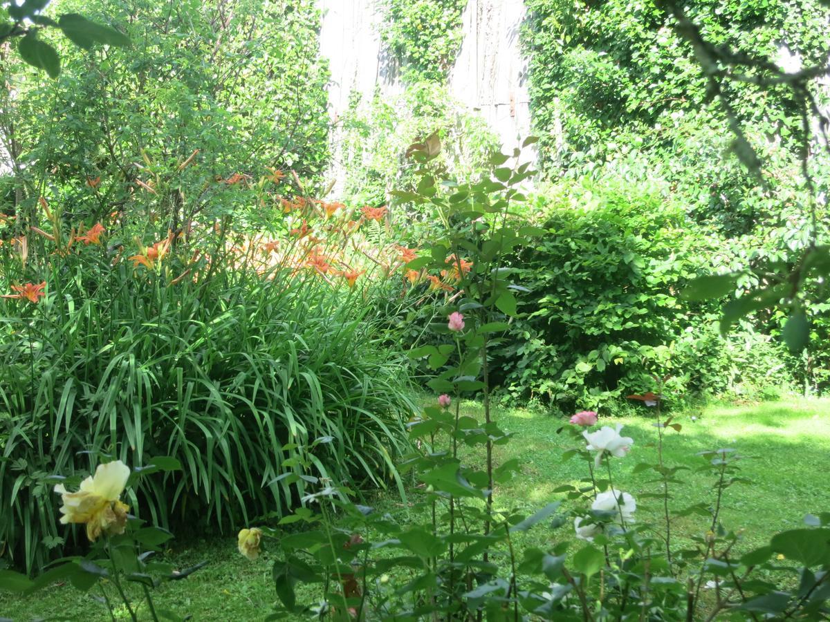 Готель Les Jardins De Lily Сен-Леонар-де-Нобла Екстер'єр фото