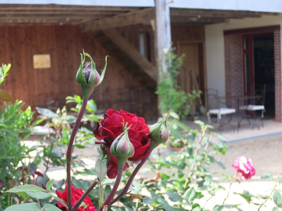 Готель Les Jardins De Lily Сен-Леонар-де-Нобла Екстер'єр фото